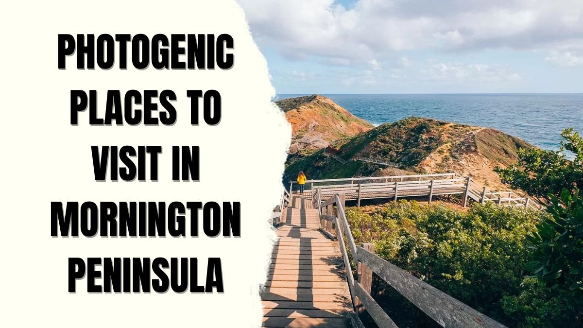 Most Photogenic Places to Visit in Mornington Peninsula