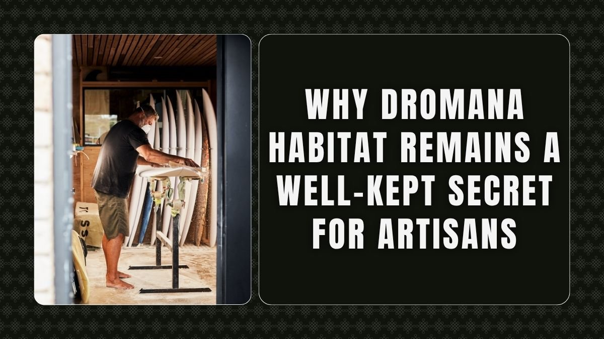 Why Dromana Habitat Remains a Well-Kept Secret for Artisans